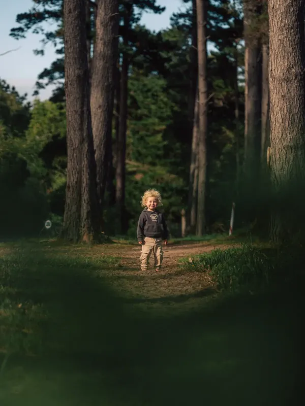 A child walking down a path through the pines